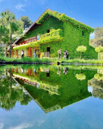 Divjake-Karavasta is home to the Karavasta Lagoon