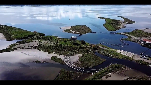 Tirane-Divjake National Park-Tirane  1-7 persons