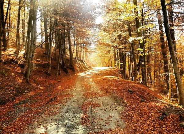 Qafshtama National Park