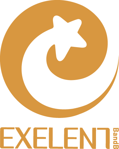 Exelent BnB - Gold Home Blloku Tirane